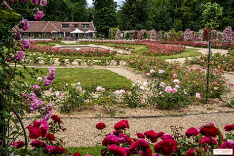 La Roseraie du Val de Marne à l Haÿ les Roses le jardin remarquable et