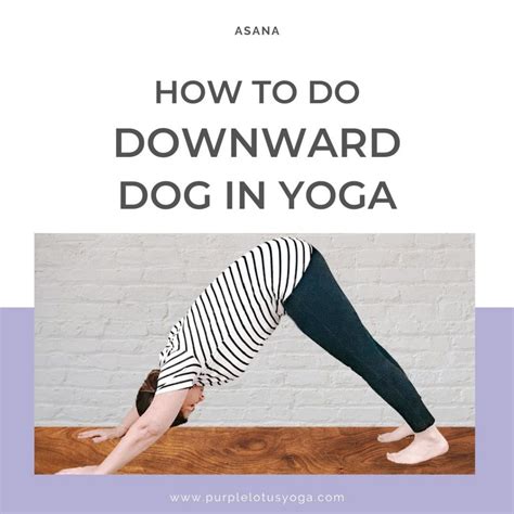 How to Do Downward Dog in Yoga - Purple Lotus Yoga | Yoga Teacher Training