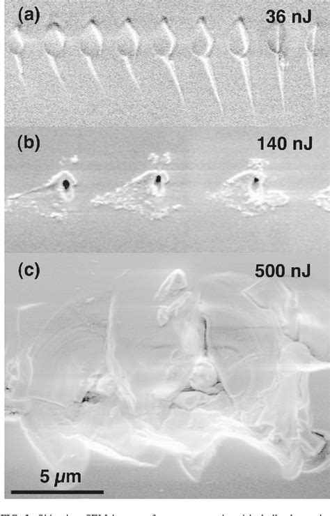 Figure 3 From Morphology Of Femtosecond Laser Induced Structural