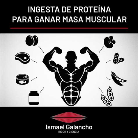 Cuánta Proteína Debo Tomar Para Ganar Masa Muscular