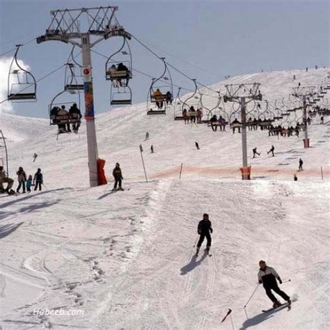 Golden Holidays Lebanon Faraya