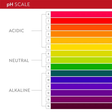 Ph levels table Stock Photos, Royalty Free Ph levels table Images ...