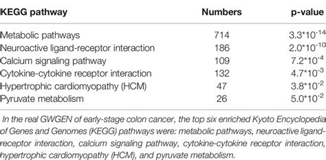 Frontiers Investigation Of The Genome Wide Genetic And Epigenetic