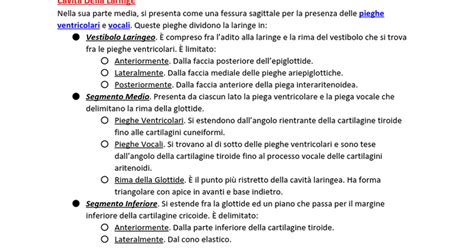 Laringe Configurazione Interna E Struttura Google Docs