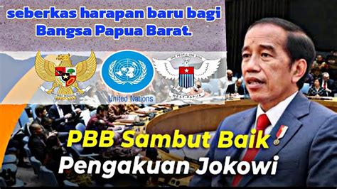 Pbb Sambut Baik Tentang Pengakuan Jokowi Tentang Ham Di Papua Terbaru