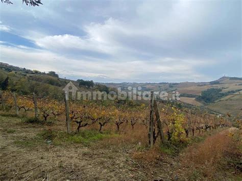 Terreno Agricolo C Da Sant Angelo Acquaviva Picena Rif