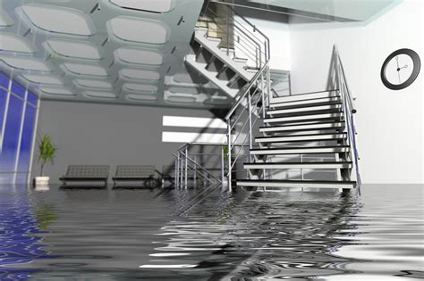 Water Damage And Disaster Restoration Raleigh Nc Wdp Raleigh