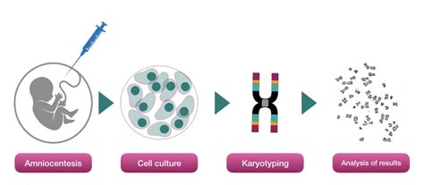 Pregnancy Genetic Testing What When And Why