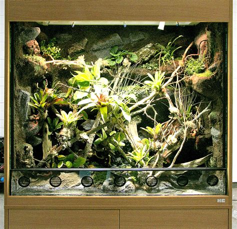 Paludarium F R Dendrobaten Und Rotkehlanolis Hoppe Terrarienbau