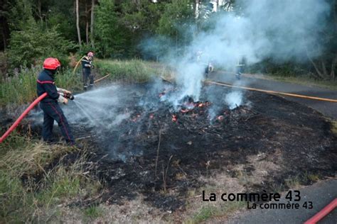 Trois Cobuages Teints Mardi En Haute Loire Hectare D Truit Aux