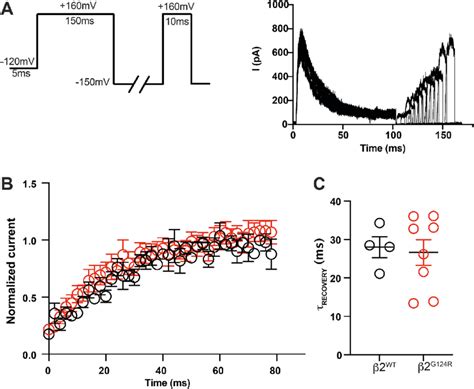 Comparison BK β2 WT and BK β2 G124R recovery from inactivation A