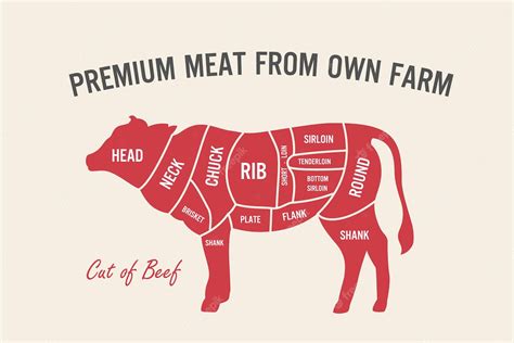 Premium Vector Cut Of Beef Set Poster Butcher Diagram And Scheme Cow Vintage Typographic Handdrawn