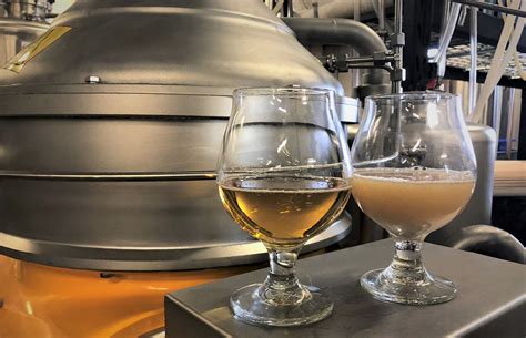 Revolutionizing Craft Beer Clarity How Centrifuges Are Changing The Game