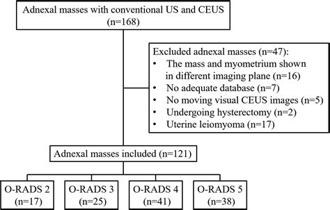 Value Of Contrast Enhanced Ultrasound Parameters In The Evaluation Of