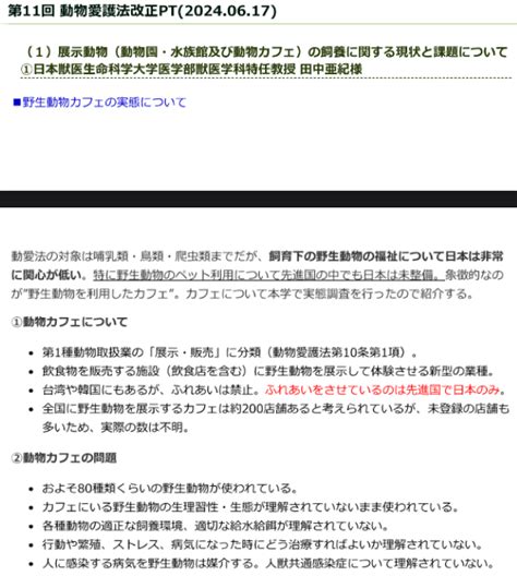 ふれあえる野生動物カフェがあるのは日本だけという杉本彩氏代表Eva動物愛護法改正PTの大嘘 さんかくの野良猫餌やり被害報告