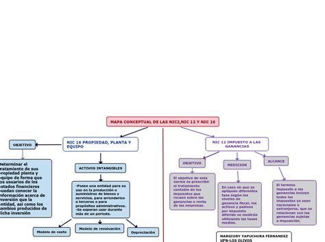 MAPA CONCEPTUAL DE LAS NIC2 NIC 12 Y NIC 1 Mind Map