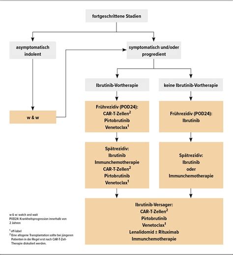 Gro Zellige B Zell Und Mantelzell Lymphome Car T Zell Therapie