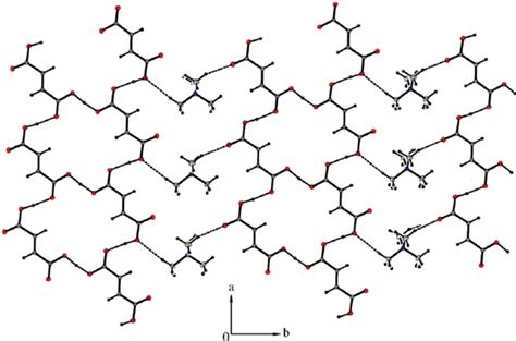 D Hydrogen Bonded Supramolecular Layer Along The Ac Plane Of Title