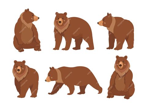 Brown Bear Cartoon Characters Nbkomputer