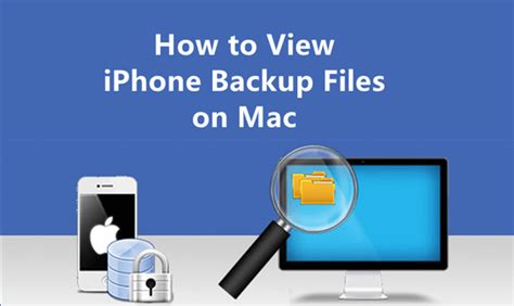 2025 How To Access And View IPhone Backup Files On Mac