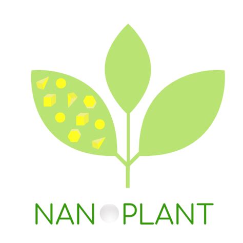 Plant nanotechnology research project by Polish Academy of Sciences