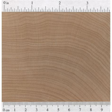 Hard Maple | The Wood Database - Lumber Identification (Hardwood)