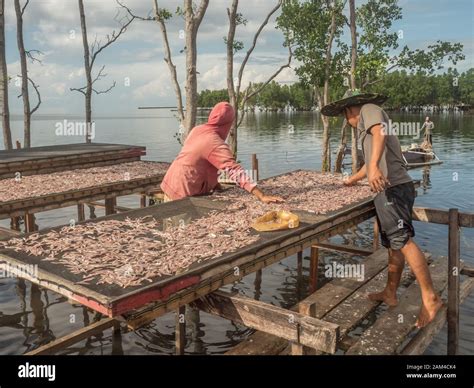 Kaimana, West Papua, Indonesia - February, 10 2017: A local people ...