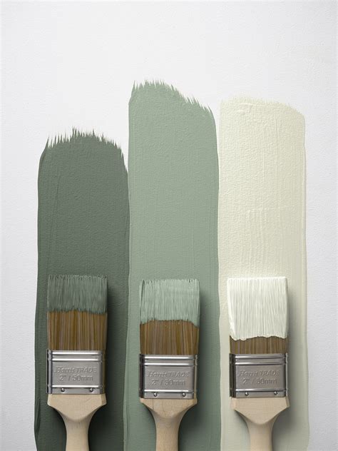 Crown Paint Sage Green Buy Oceanproperty Co Th