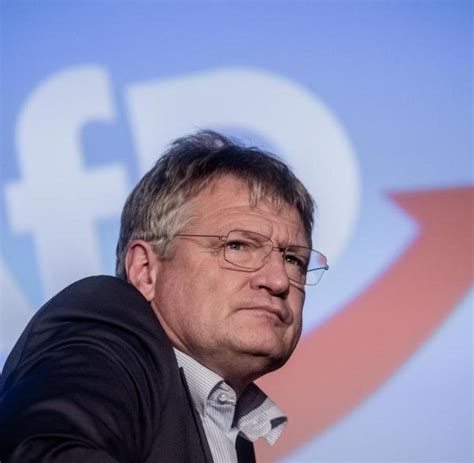 Afd Chef Meuthen Höchstens 20 Prozent Sind Beim Flügel Welt