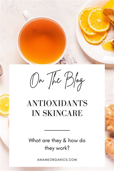 Antioxidants In Skincare What Are They How Do They Work Artofit