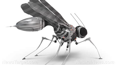 First wireless insect-size robot takes flight