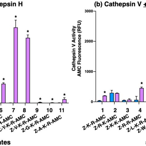 Distinct Dibasic Cleavage Properties Of The Cathepsin L And Cathepsin V