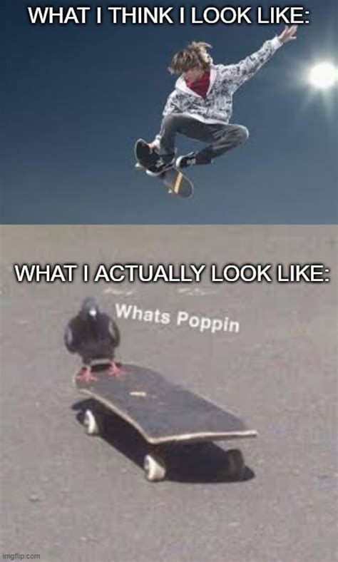 Skateboard Memes That Totally Rip Skateboarding Memes