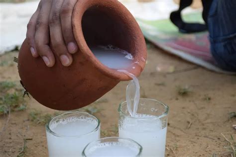 How to Make Palm Wine at Home (The Traditional Fermented Drink): A Step-by-Step Guide » PIECE ...