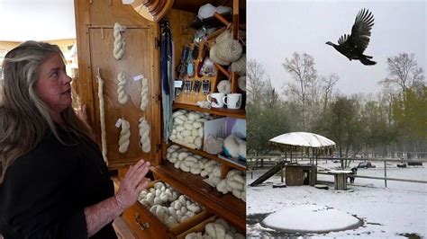 First Snow Of The Year Three New Rescues Geese Arrive Processed