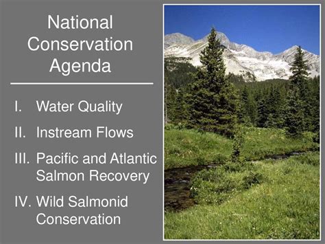 Local Chapters To Conserve Protect And Restore North Americas