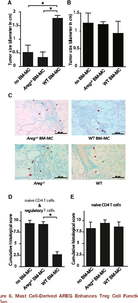 Figure 6 From Amphiregulin Enhances Regulatory T Cell Suppressive