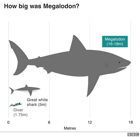 meg  myth  legend  science bbc news