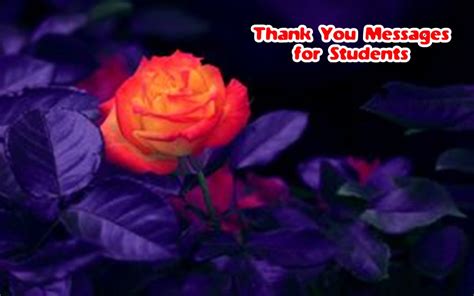 70 Thank You Messages For Students From Teacher – Tiny Positive