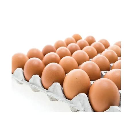 Fresh Chicken Table Eggs Fertilized Hatching Chicken Eggs White And