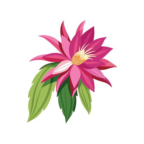 Creative Epiphyllum Orchid Cactus Artwork 57392662 Vector Art at Vecteezy