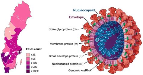 Multi-regional COVID-19 epidemic forecast in Sweden - Yihan Xing, Oleg