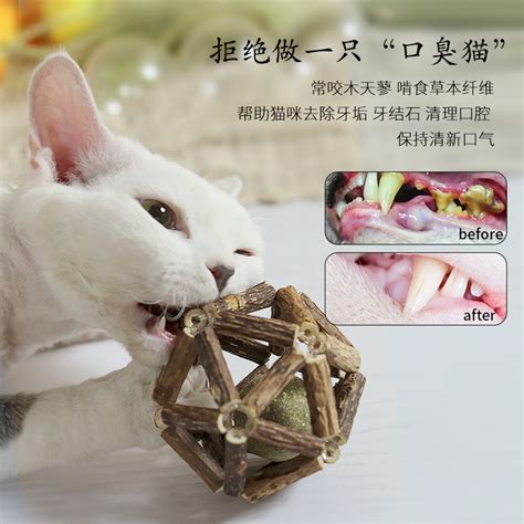 猫咪玩具磨牙棒猫薄荷球逗猫棒耐咬木天蓼自嗨解闷神器猫咪用品虎窝淘