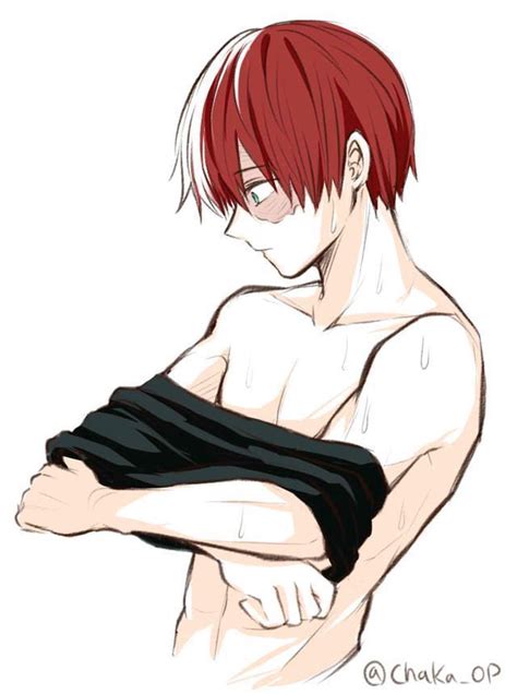 Todoroki Shouto The Type Of Boyfriends ㄟ≧ ≦ㄏ ¡1000 ￣ω￣ Personajes De Anime Anime