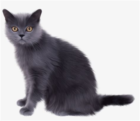 Persian Cats Clip Art Library