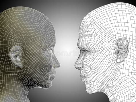 3d Illustration Wireframe Or Mesh Human Male And Female Head Stock