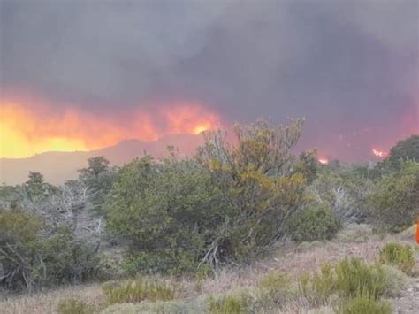 Dos Semanas De Incendios En En El Parque Nacional Los Alerces El Fuego