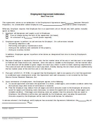 51 SAMPLE Addendum To Contract Templates In PDF MS Word Excel