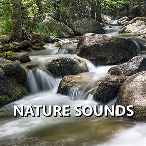 Amazon Music Sleep Sounds of NatureのNature Sounds Amazon co jp