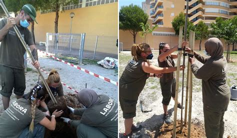 La Cotorra De La Vall L Alumnat De Les Distintes Rames Del Taller D